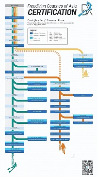 Freediving Certification flow chart