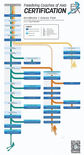 Freediving Certification flow chart