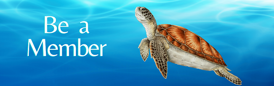 Freediving Coaches of Asia Membership