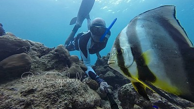 Coach Raymond and a bat fish in the Seychelles